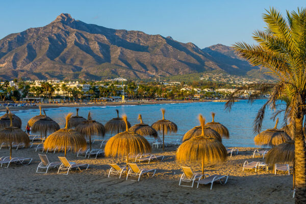 NLS Quarterly Briefing